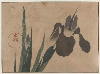 Bild Nr.1: 135-3965 Hoitsu, Sakai: (Künstlergraphik, Japan)