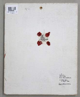 Bild Nr.2: 135-4182 Mersmann, Paul, der Jüngere: (Künstlergraphik)