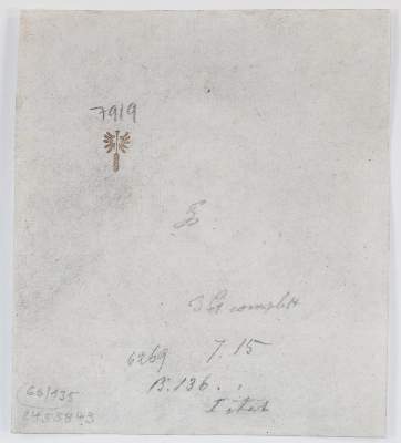 Bild Nr.2: 135-4312 Rembrandt van Rijn, Harmensz: (Künstlergraphik)