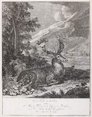 Bild Nr.2: 135-4328 Ridinger, Johann Elias: (Künstlergraphik)