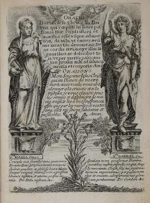Bild Nr.1: 135-443 Mazot,F.: (Alte Drucke, Handschriften und Theologie)