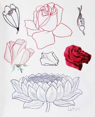 Bild Nr.3: 135-4528 Waller, Robert Pickfort.: (Künstlergraphik)