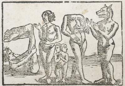 Bild Nr.3: 135-471 Münster,S.: (Alte Drucke, Handschriften und Theologie)