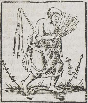 Bild Nr.1: 135-472 (Münster, Seb.: (Alte Drucke, Handschriften und Theologie)