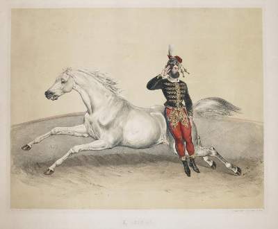 Bild Nr.1: 135-918 Album der Reitkünstler.: (Zirkus, Pferde)
