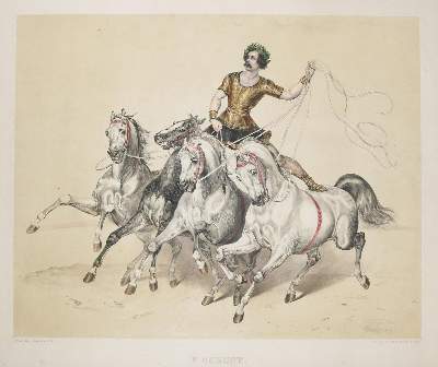 Bild Nr.3: 135-918 Album der Reitkünstler.: (Zirkus, Pferde)