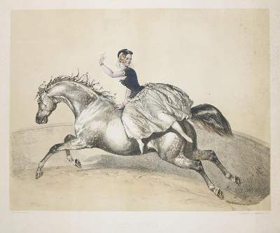 Bild Nr.4: 135-918 Album der Reitkünstler.: (Zirkus, Pferde)