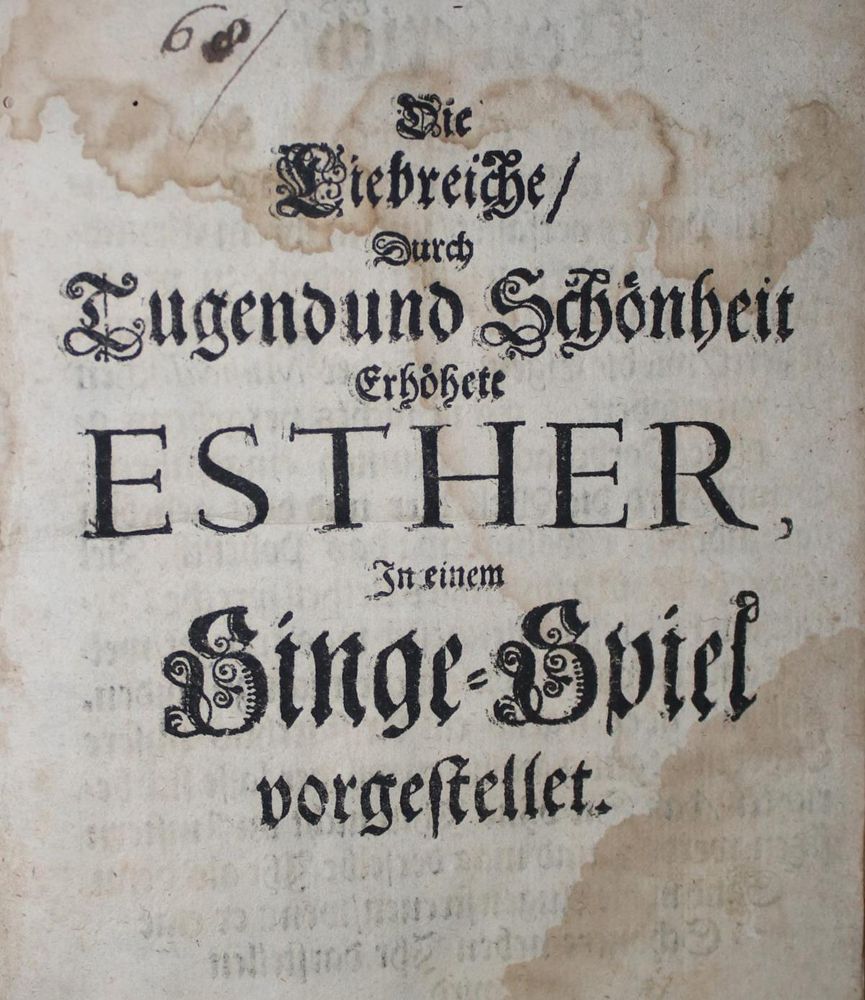 Große Abbildung Nr.1: 136-1028 (Strungk,N.A. u. J.M.Koeler).: (Hamburg)