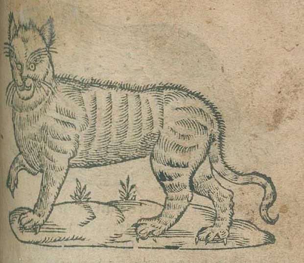 Große Abbildung Nr.2: 136-110 Paradin,C. u. G.Simeoni.: (Emblemata)