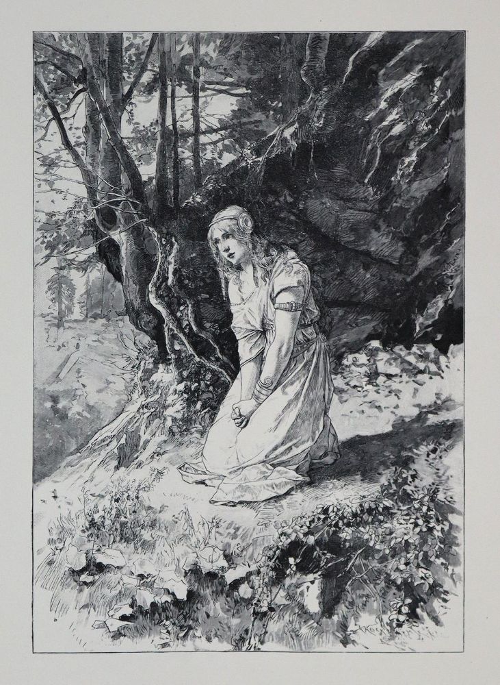Große Abbildung Nr.3: 136-1158 Weber,F.W.: (Literatur und illustrierte Bücher bis 19.Jahrhundert)