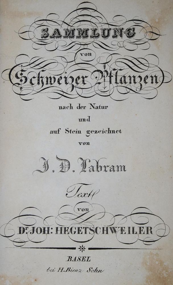 Große Abbildung Nr.1: 136-1412 Hegetschweiler,J.: (Botanik)