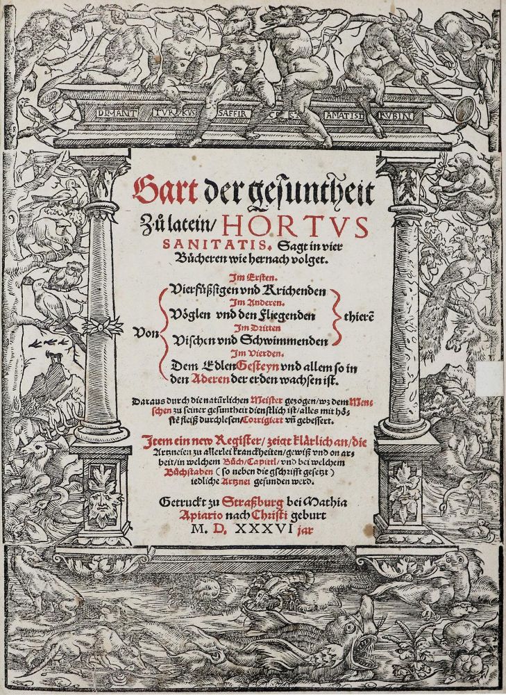 Große Abbildung Nr.1: 136-1418 Gart der Gesuntheit: (Botanik, Kräuterbücher)