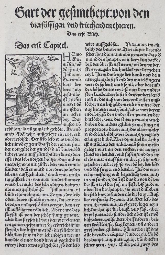 Große Abbildung Nr.2: 136-1418 Gart der Gesuntheit: (Botanik, Kräuterbücher)