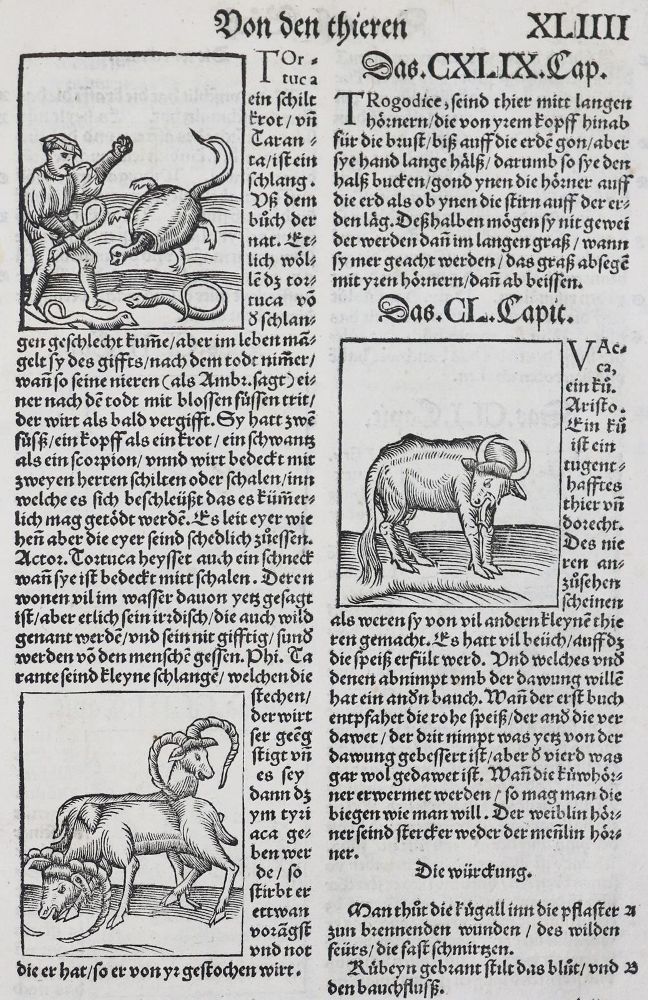Große Abbildung Nr.3: 136-1418 Gart der Gesuntheit: (Botanik, Kräuterbücher)