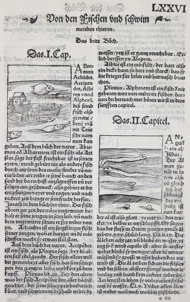Große Abbildung Nr.4: 136-1418 Gart der Gesuntheit: (Botanik, Kräuterbücher)
