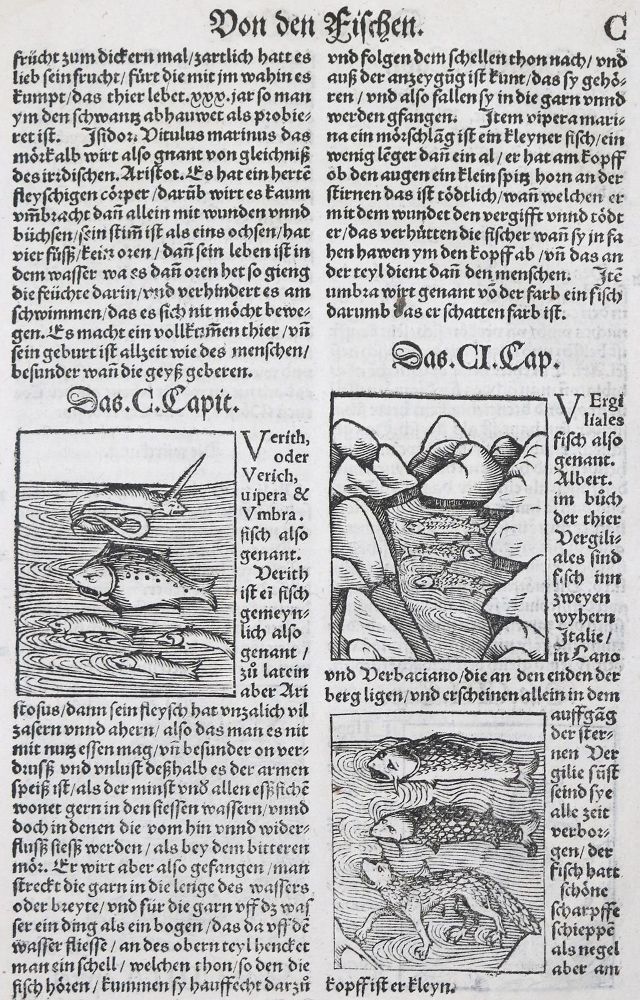 Große Abbildung Nr.5: 136-1418 Gart der Gesuntheit: (Botanik, Kräuterbücher)