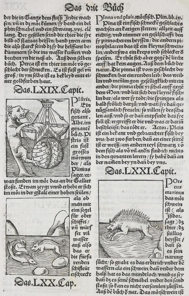 Große Abbildung Nr.6: 136-1418 Gart der Gesuntheit: (Botanik, Kräuterbücher)