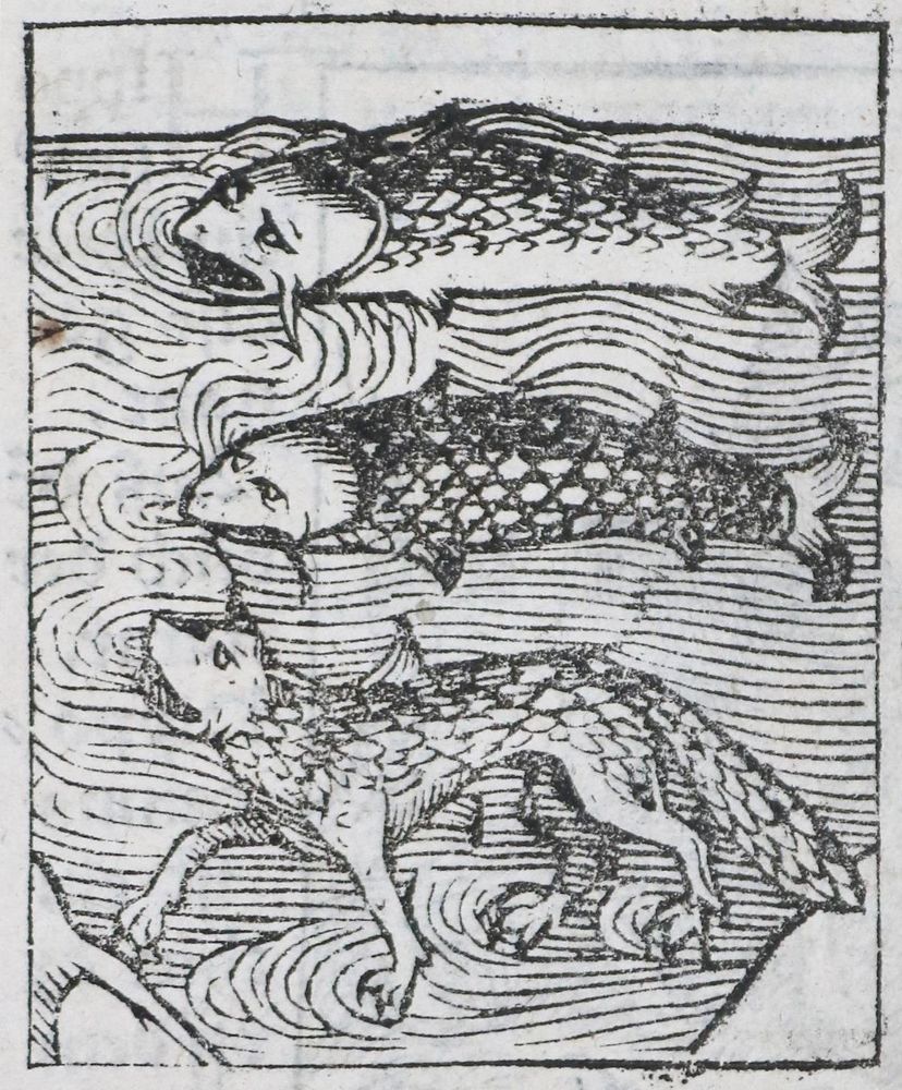 Große Abbildung Nr.7: 136-1418 Gart der Gesuntheit: (Botanik, Kräuterbücher)