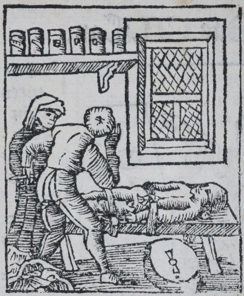 Große Abbildung Nr.8: 136-1418 Gart der Gesuntheit: (Botanik, Kräuterbücher)