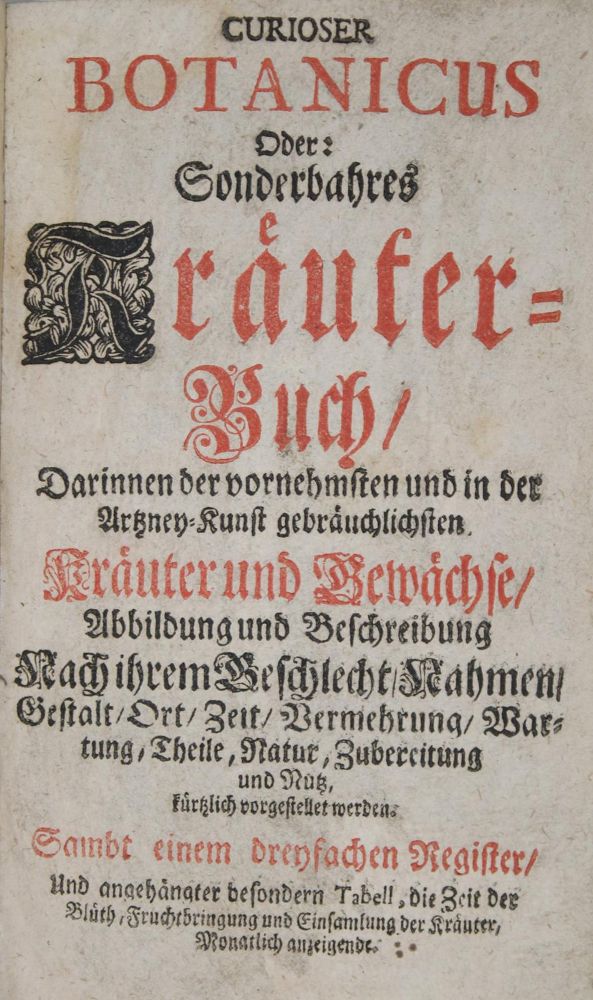 Große Abbildung Nr.1: 136-1419 (Müller,S.).: (Botanik, Kräuterbücher)