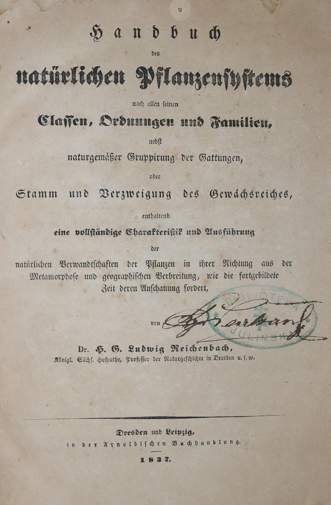 Große Abbildung Nr.1: 136-1429 Reichenbach,H.G.L.: (Botanik)
