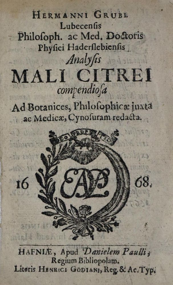Große Abbildung Nr.1: 136-1438 Grube,H.: (Botanik, Zitrone)