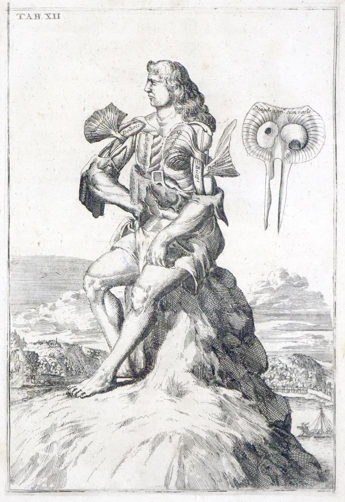Große Abbildung Nr.1: 136-1452 Browne,J.: (Medizin)