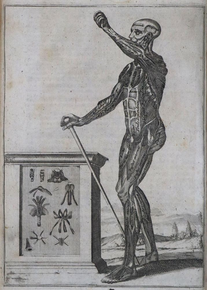 Große Abbildung Nr.2: 136-1452 Browne,J.: (Medizin)