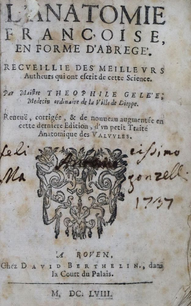 Große Abbildung Nr.2: 136-1462 Gelee,T.: (Medizin)
