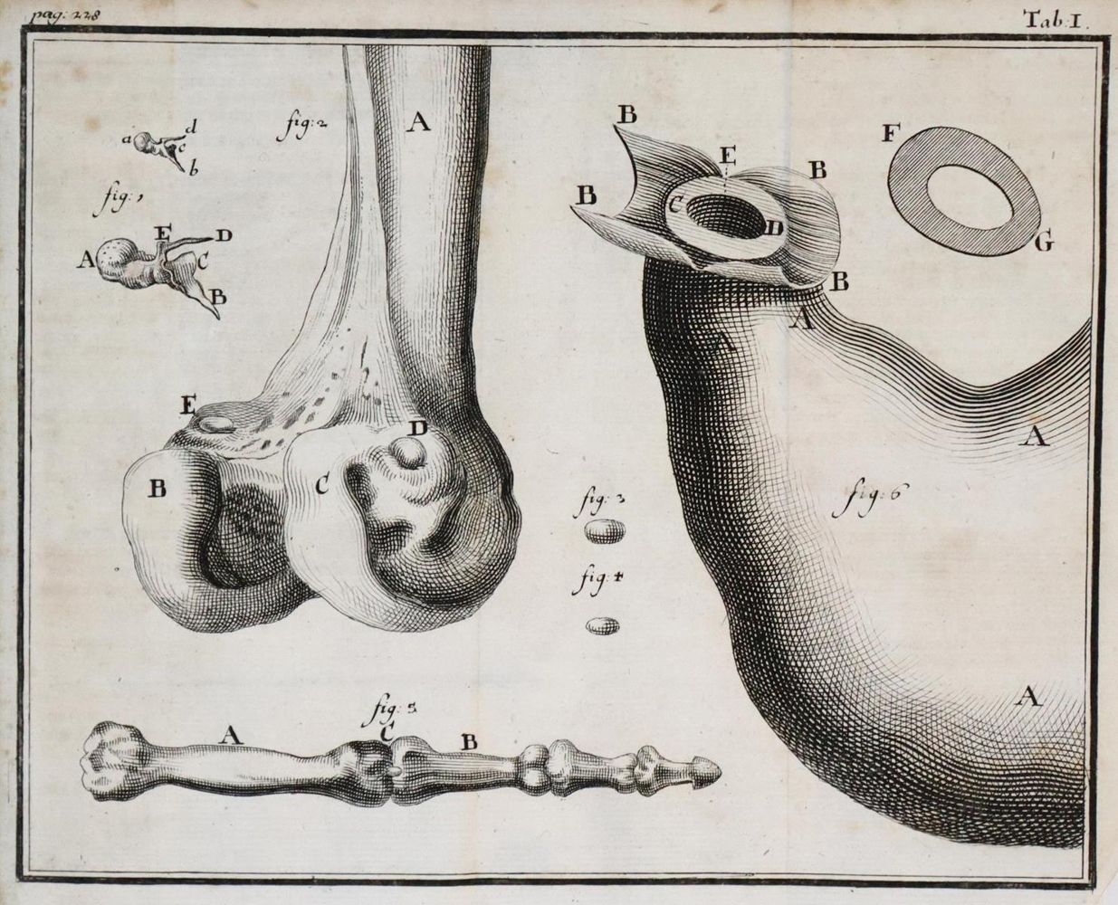 Große Abbildung Nr.1: 136-1474 Keil,C.H.: (Medizin)