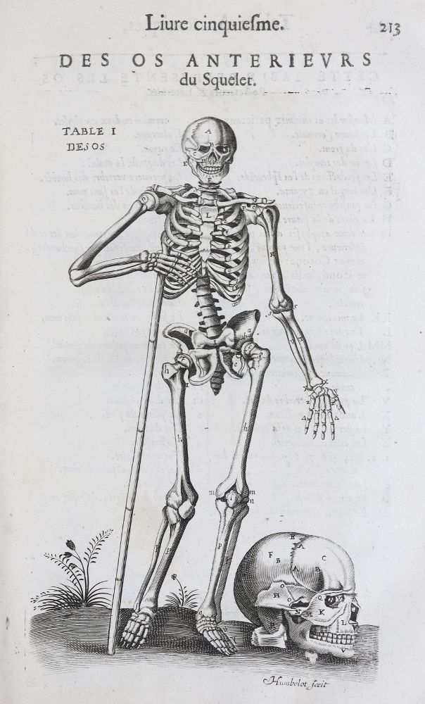Große Abbildung Nr.1: 136-1478 Laurens,A.du.: (Medizin)