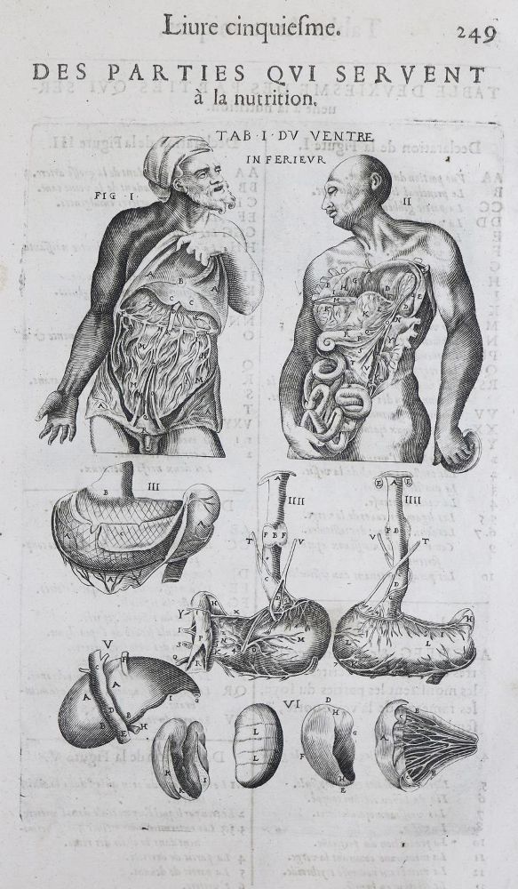 Große Abbildung Nr.2: 136-1478 Laurens,A.du.: (Medizin)