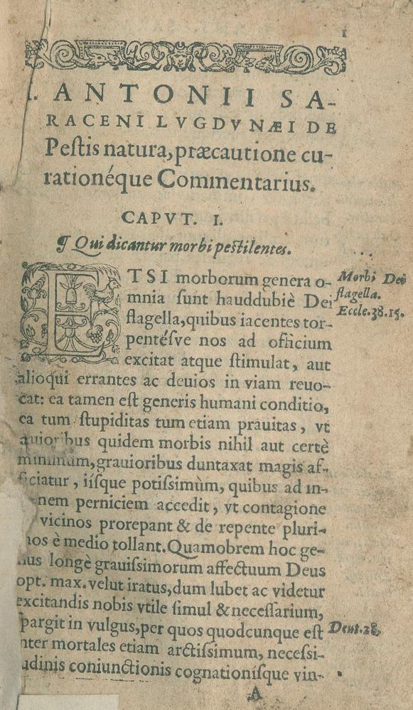 Große Abbildung Nr.2: 136-1495 (Saracenus,J.A.: (Medizin, Pest)