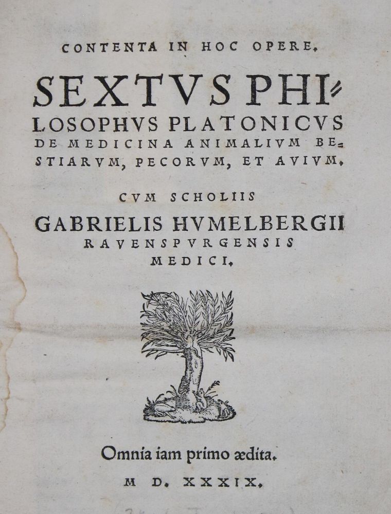 Große Abbildung Nr.1: 136-1502 Placitus,S.: (Medizin)