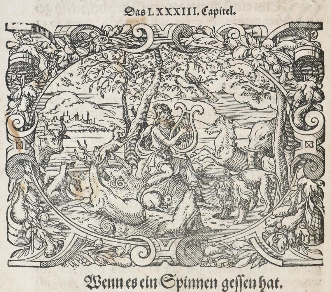 Große Abbildung Nr.3: 136-1528 Vegetius Renatus, F.: (Medizin)