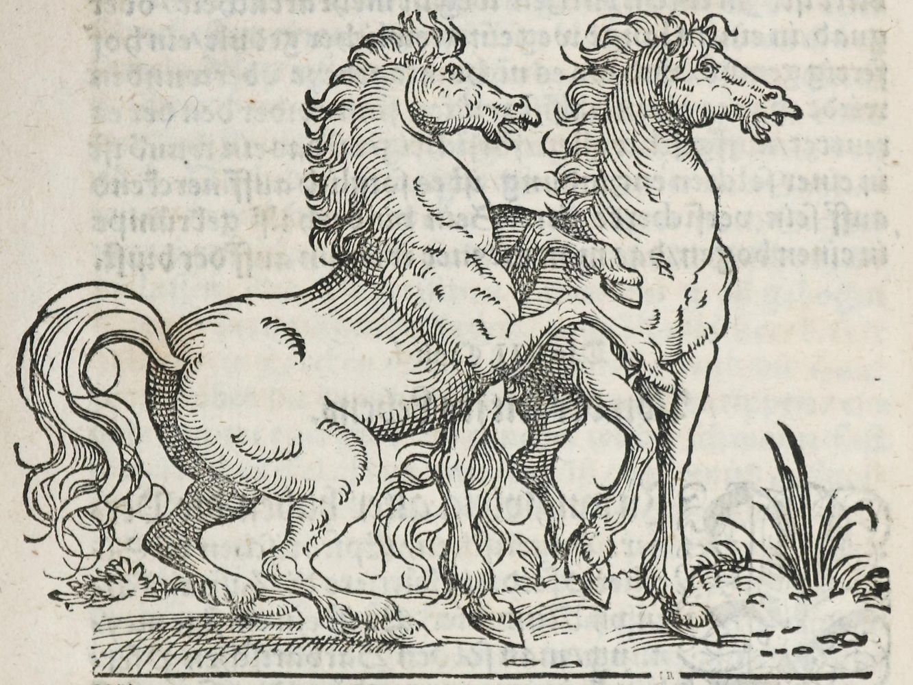 Große Abbildung Nr.4: 136-1528 Vegetius Renatus, F.: (Medizin)