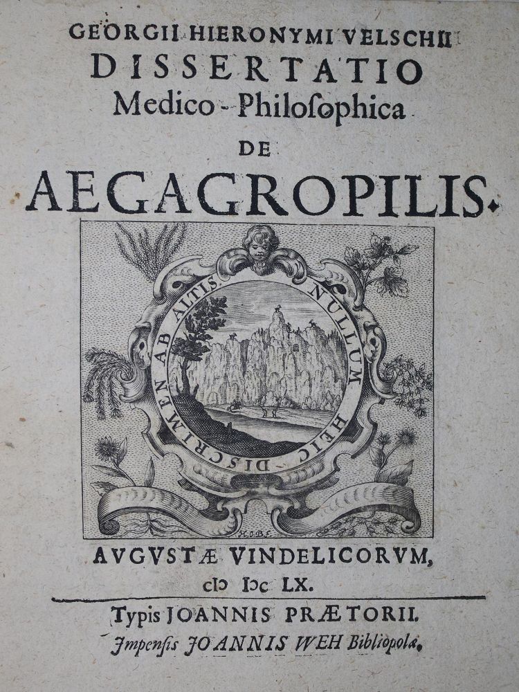 Große Abbildung Nr.1: 136-1529 Welsch,G.H.: (Medizin)