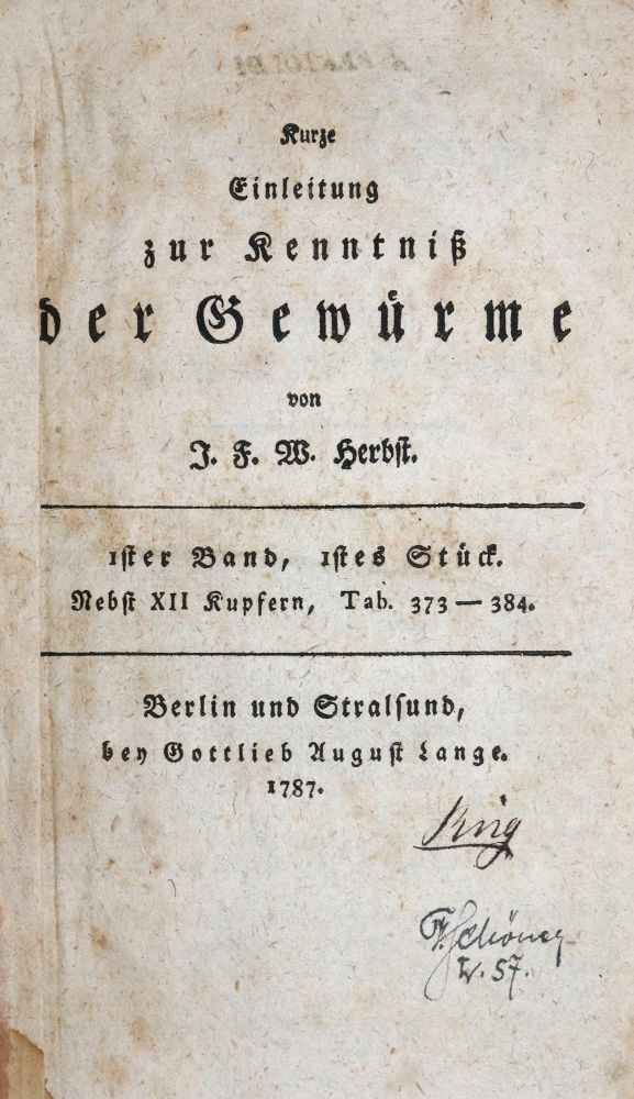 Große Abbildung Nr.1: 136-1542 Herbst,J.F.W.: (Zoologie)