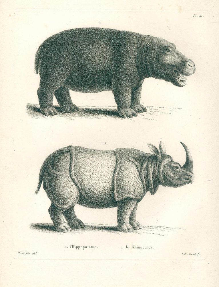 Große Abbildung Nr.1: 136-1543 Huet, (Nicolas).: (Zoologie)