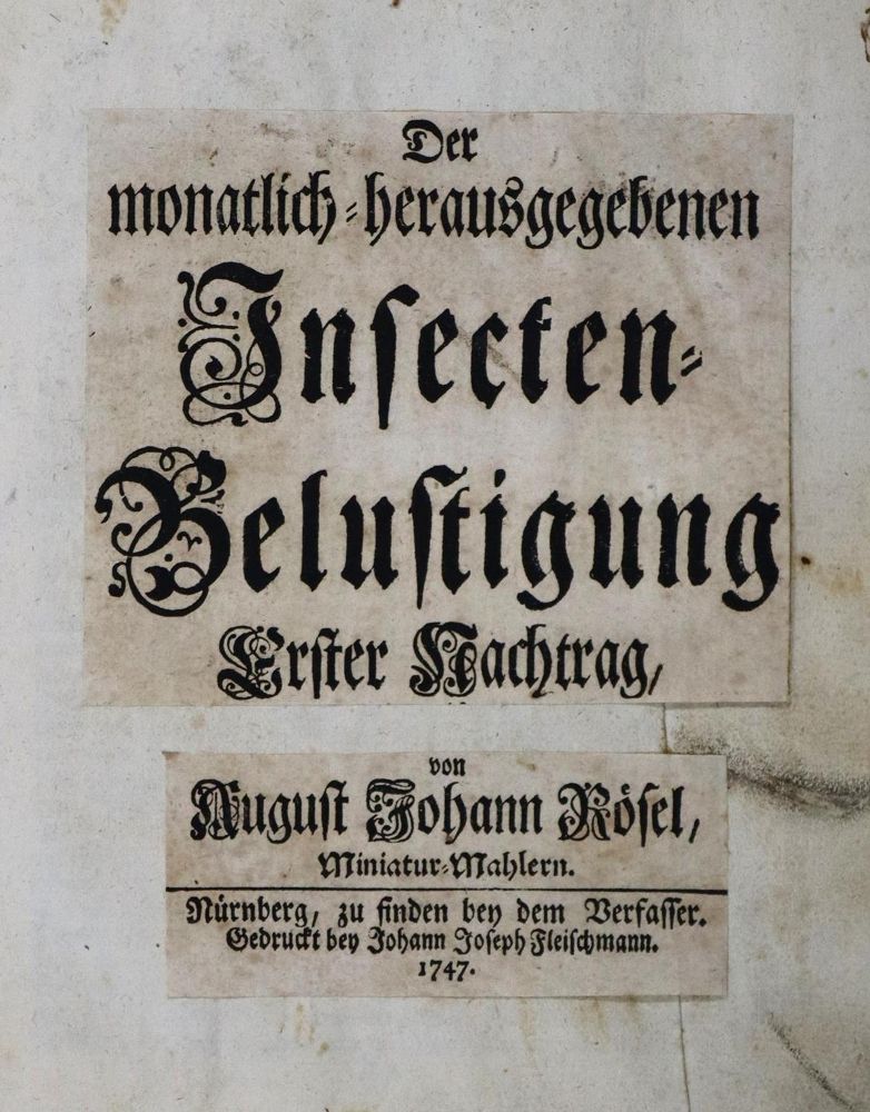 Große Abbildung Nr.2: 136-1546 Rösel von Roselhof,A.J.: (Zoologie, Insekten)