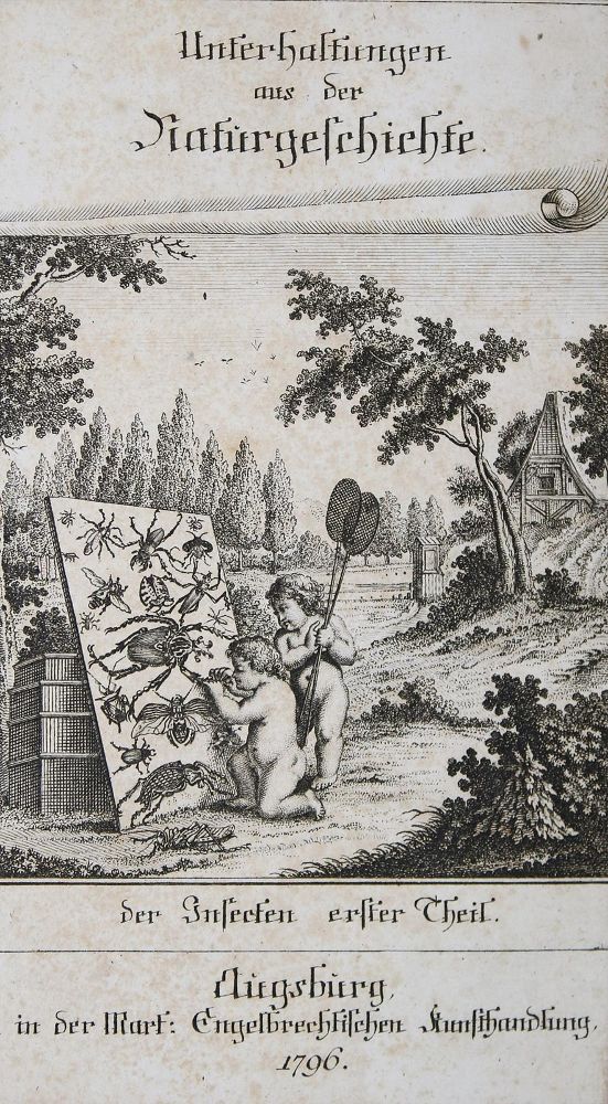 Große Abbildung Nr.1: 136-1548 (Wilhelm, Gottl. Tob.).: (Zoologie, Insekten)