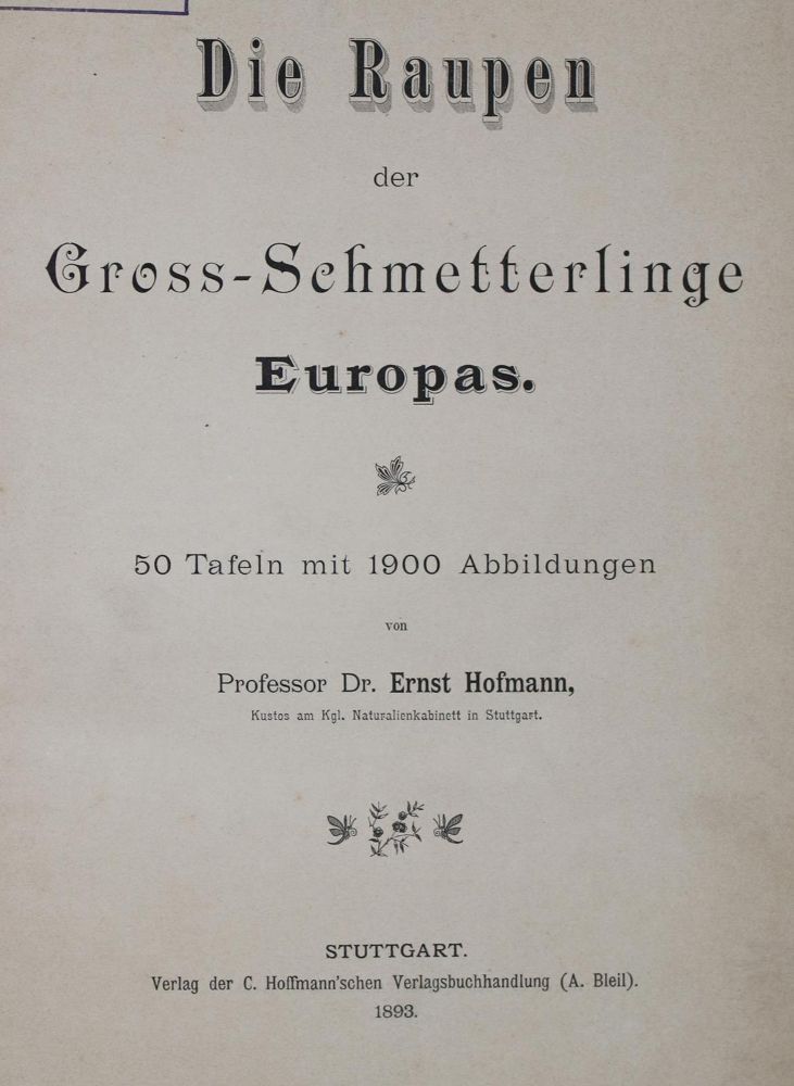 Große Abbildung Nr.1: 136-1561 Hofmann, E.: (Zoologie, Schmetterlinge)