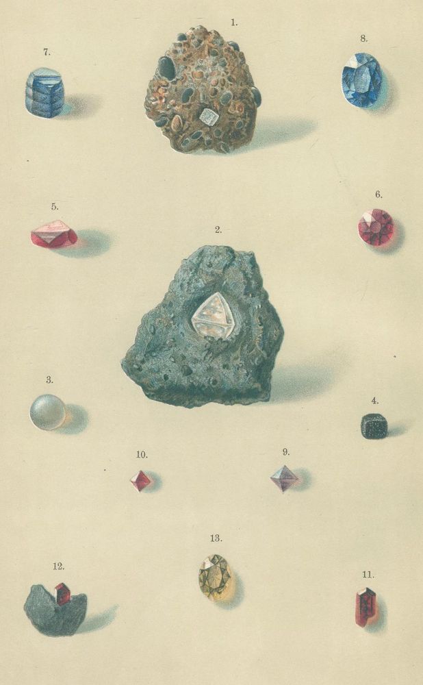 Große Abbildung Nr.1: 136-1634 Bauer,M.: (Verschiedene Gebiete - Varia, Geologie - Mineralogie u. Paläontologie)