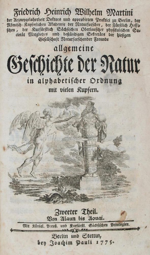 Große Abbildung Nr.1: 136-1658 Martini,F.H.W.: (Verschiedene Gebiete - Varia)
