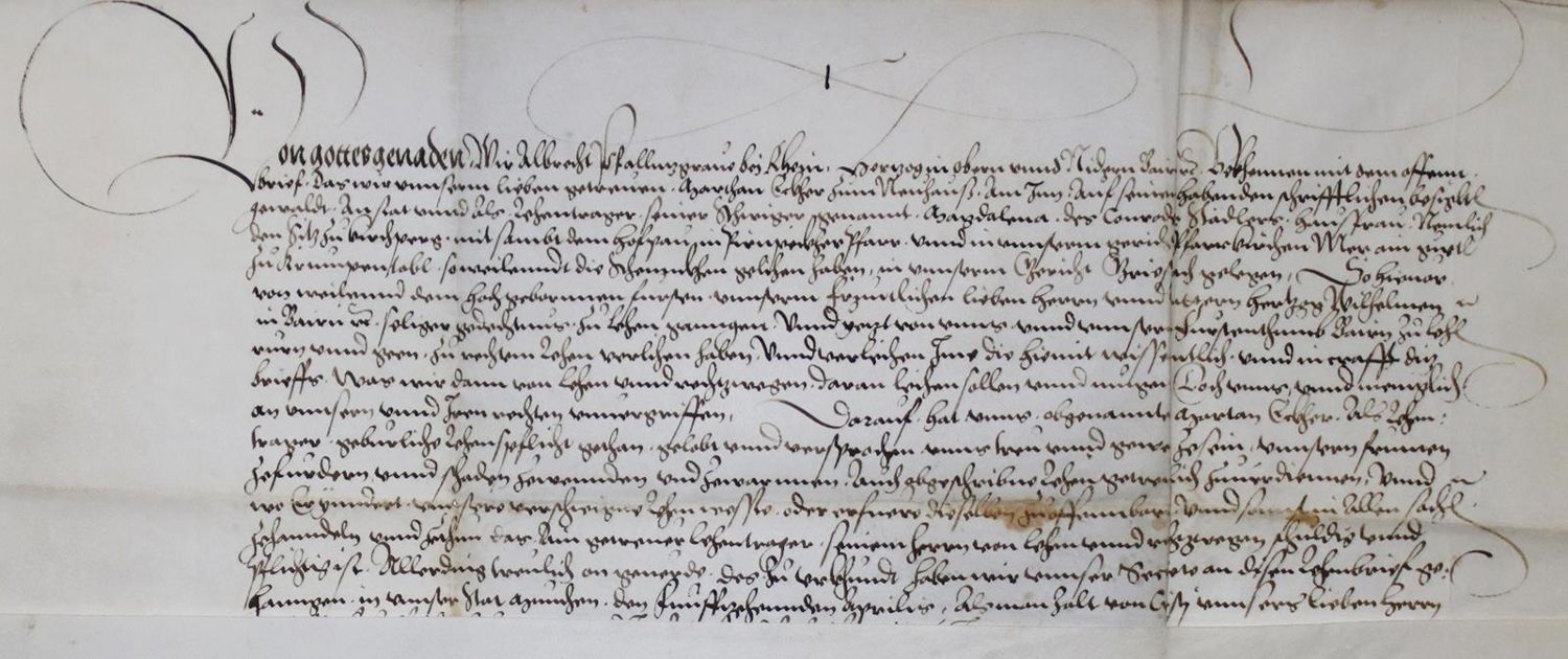Große Abbildung Nr.1: 136-170 Albrecht (V.) Pfalzgraf bei Rhein: (Handschriften, Lehenbrief)