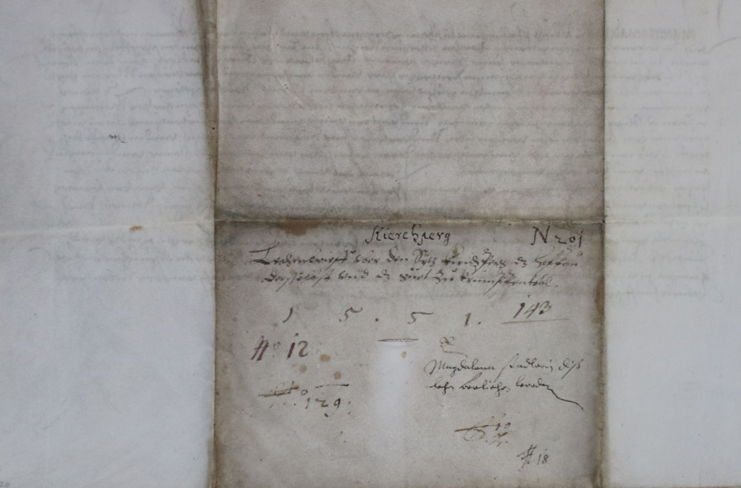 Große Abbildung Nr.2: 136-170 Albrecht (V.) Pfalzgraf bei Rhein: (Handschriften, Lehenbrief)