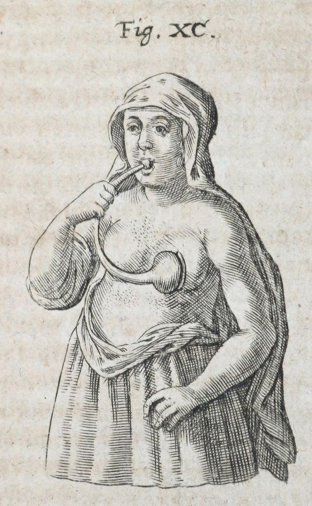 Große Abbildung Nr.5: 136-1714 Sturm,J.C.: (Verschiedene Gebiete - Varia)