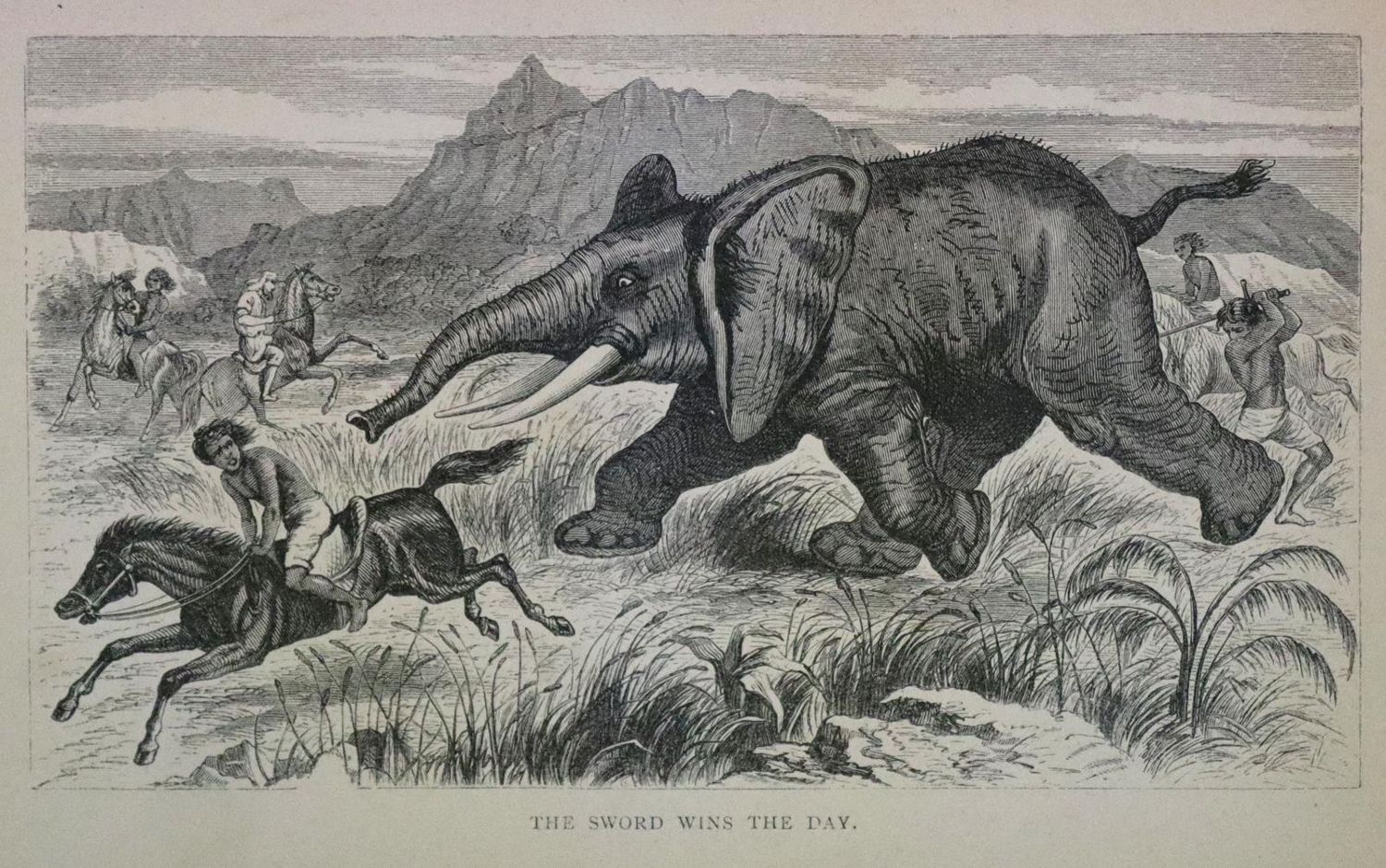 Große Abbildung Nr.3: 136-1738 Baker,S.W.: (Afrika)