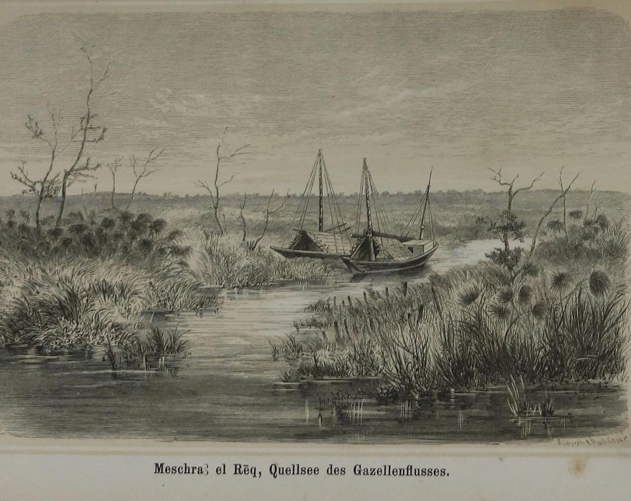 Große Abbildung Nr.1: 136-1749 Heuglin,M.T.v.: (Afrika)