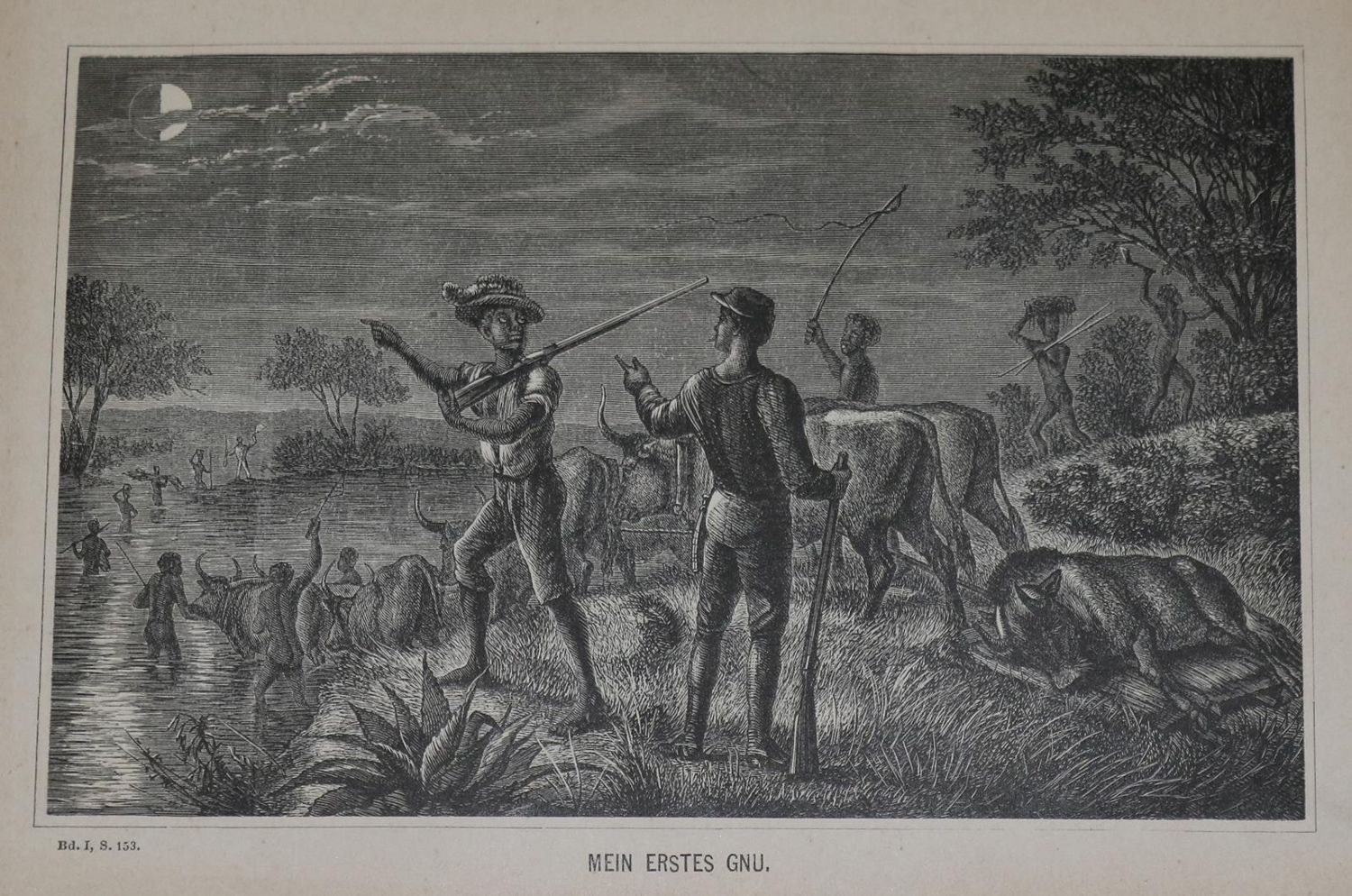 Große Abbildung Nr.1: 136-1759 Mohr,E.: (Afrika)